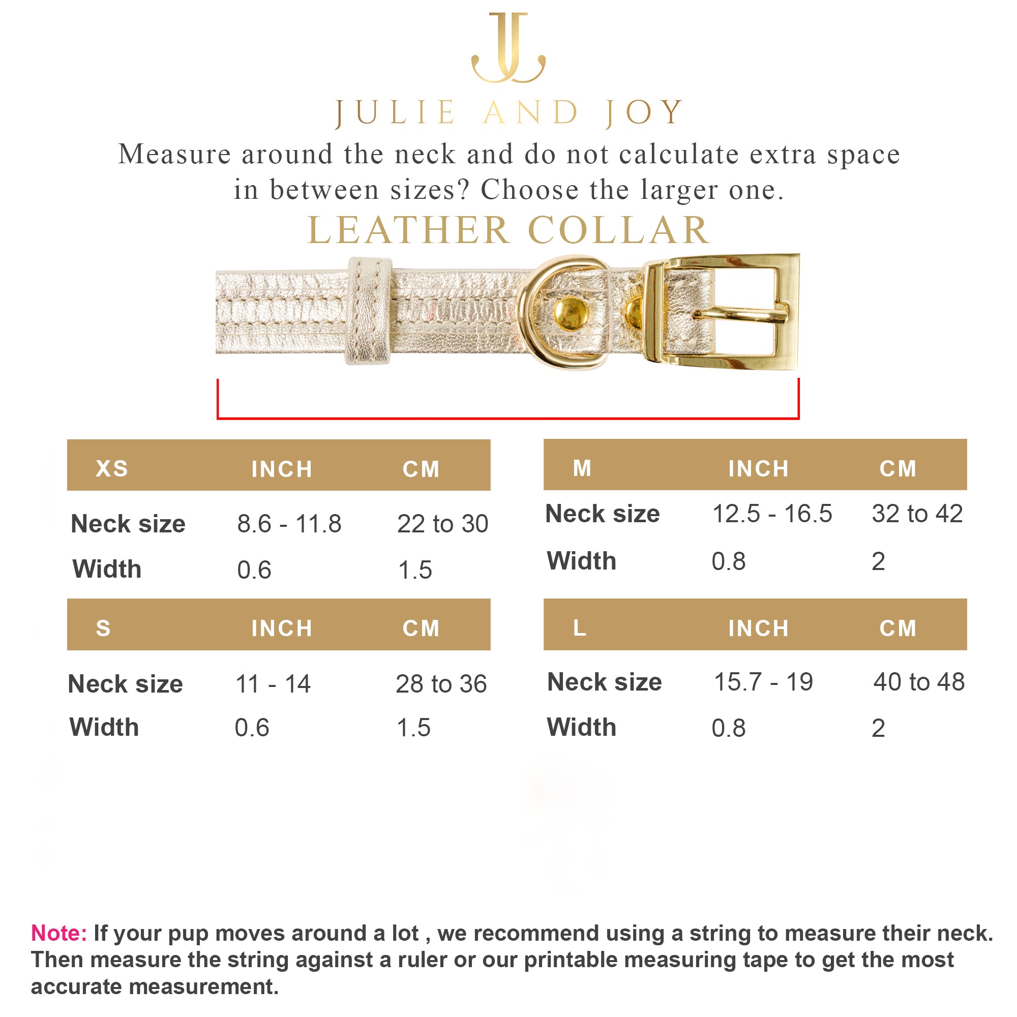 Dog Set Collar + Leather Leash ITALIAN Genuine LEATHER DOG COLLAR Gold Finish Hardware