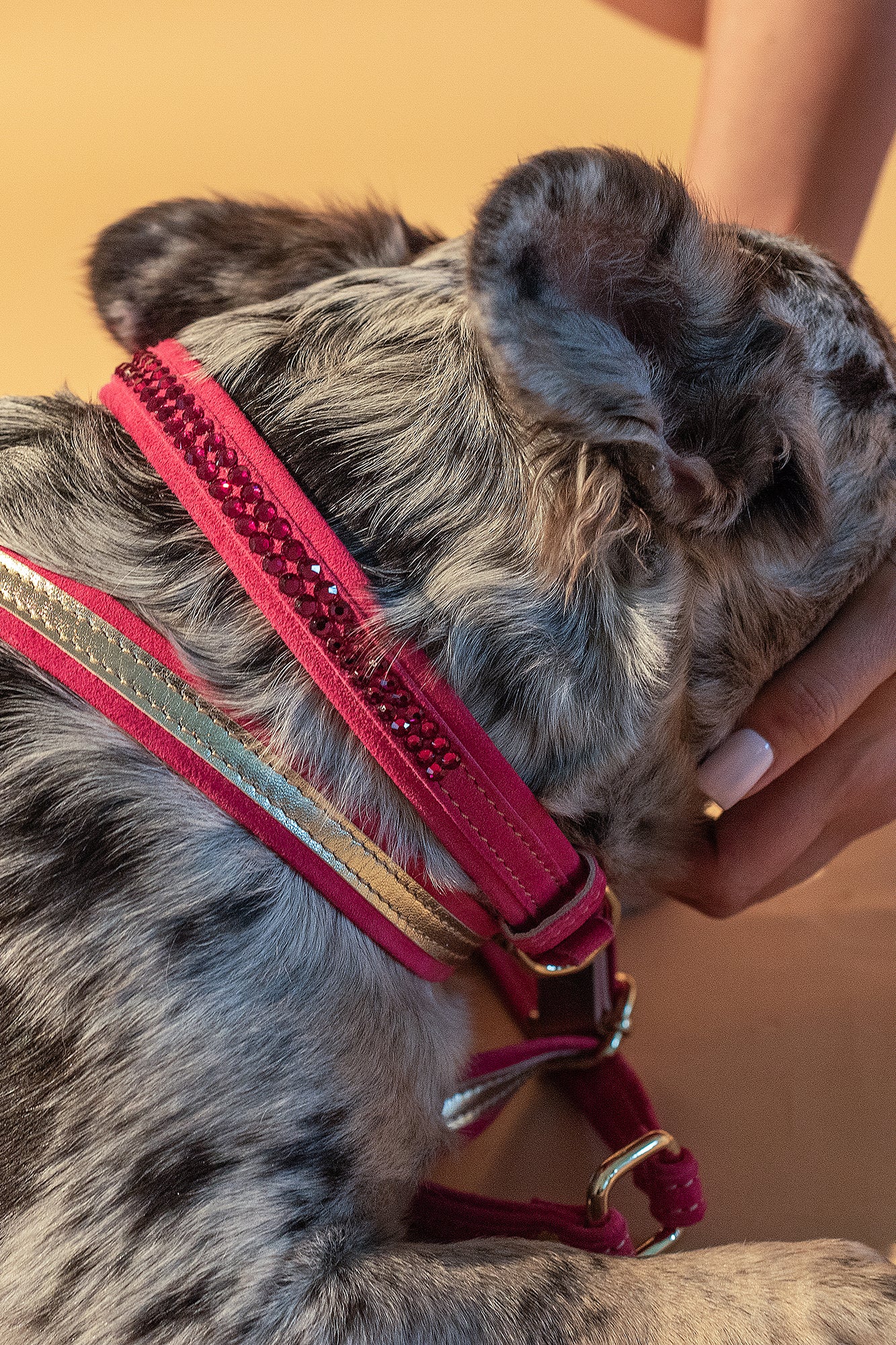 Pink ITALIAN Suede CRYSTAL DOG COLLAR with Finish Hardware