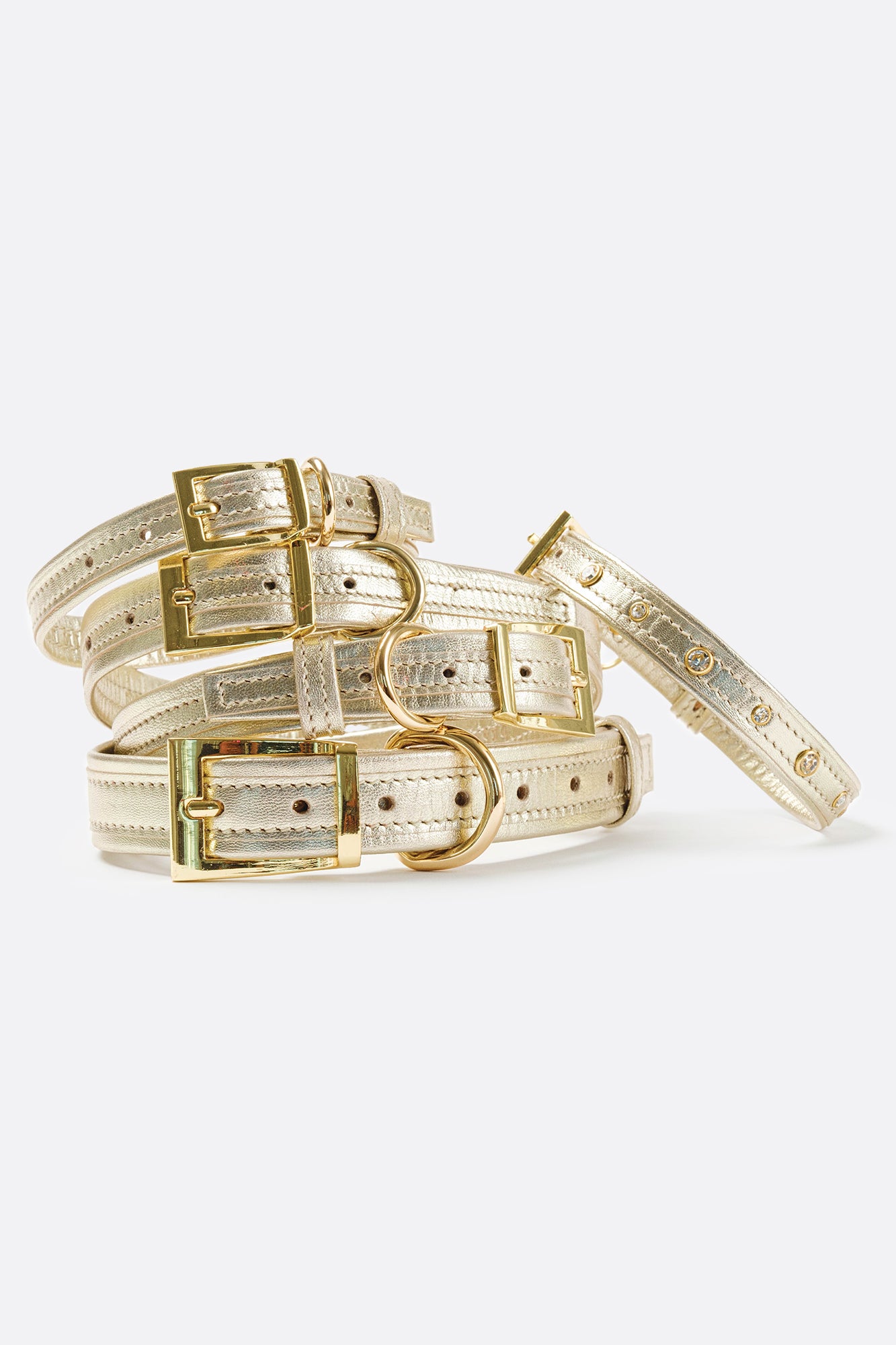 Dog Set Collar + Leather Leash ITALIAN Genuine LEATHER DOG COLLAR Gold Finish Hardware