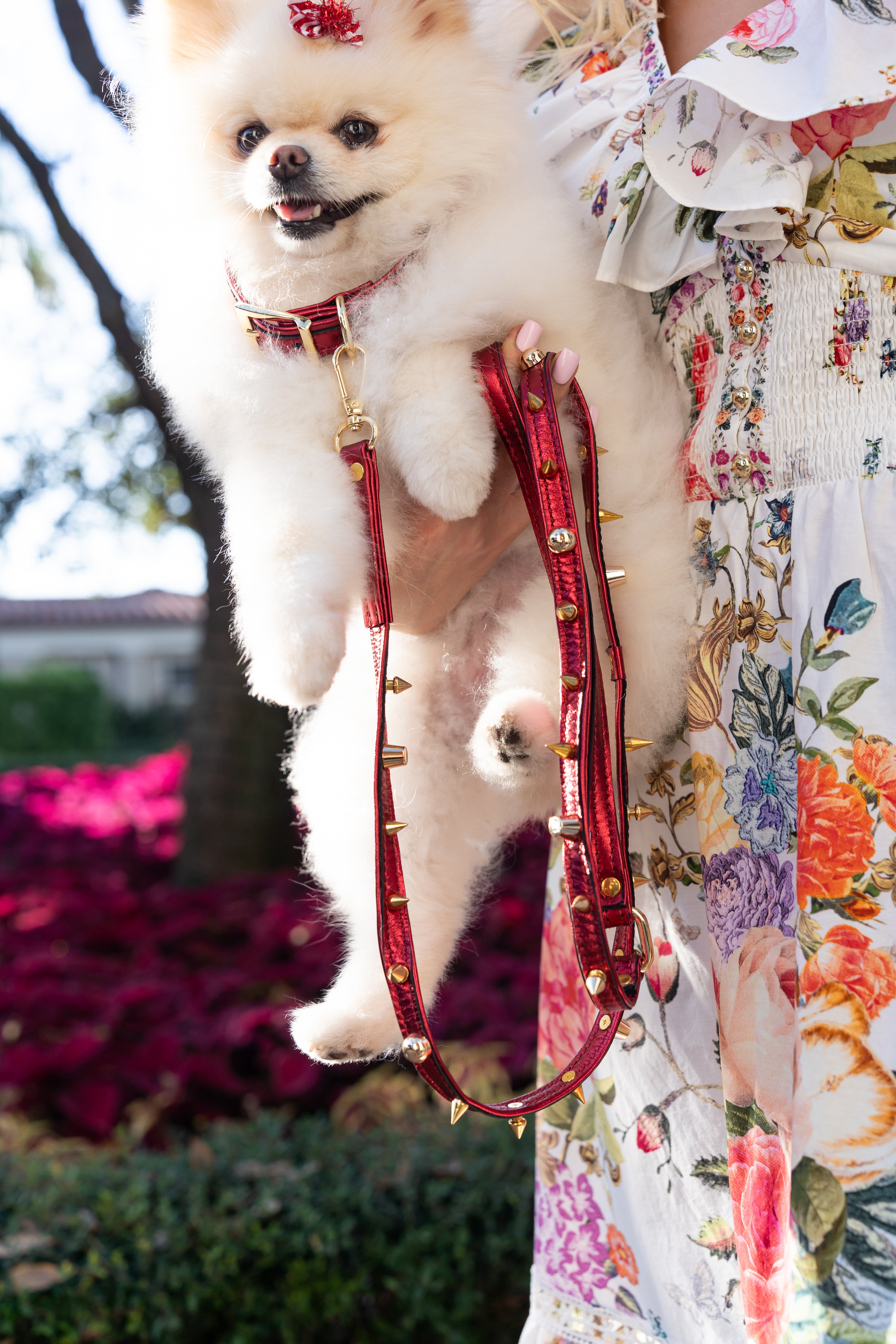 ITALIAN Genuine Red LEATHER LEASH For Dogs Spiked Handcrafted Gold Hardware
