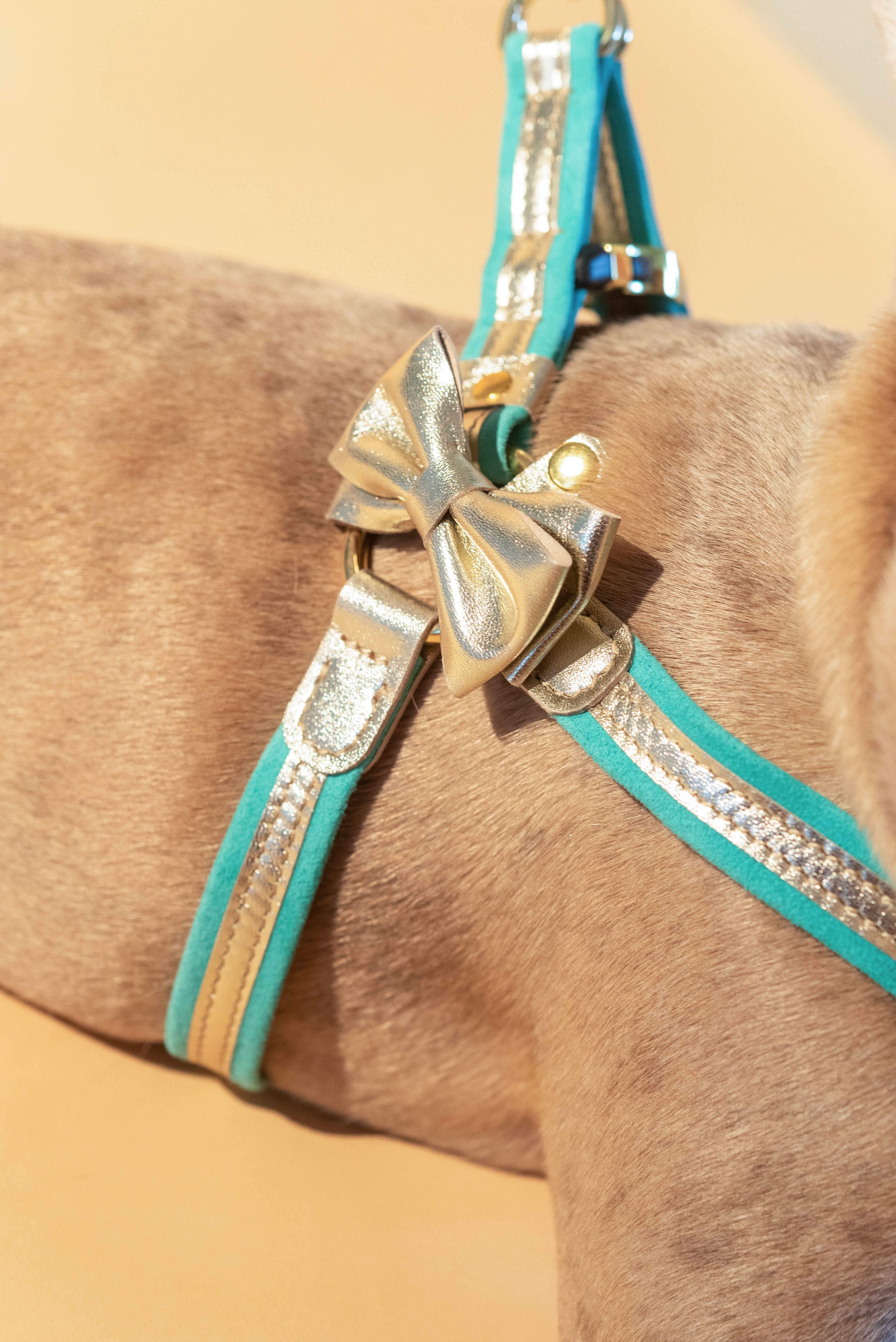 Harness Italian gold leather + Italian turquoise suede