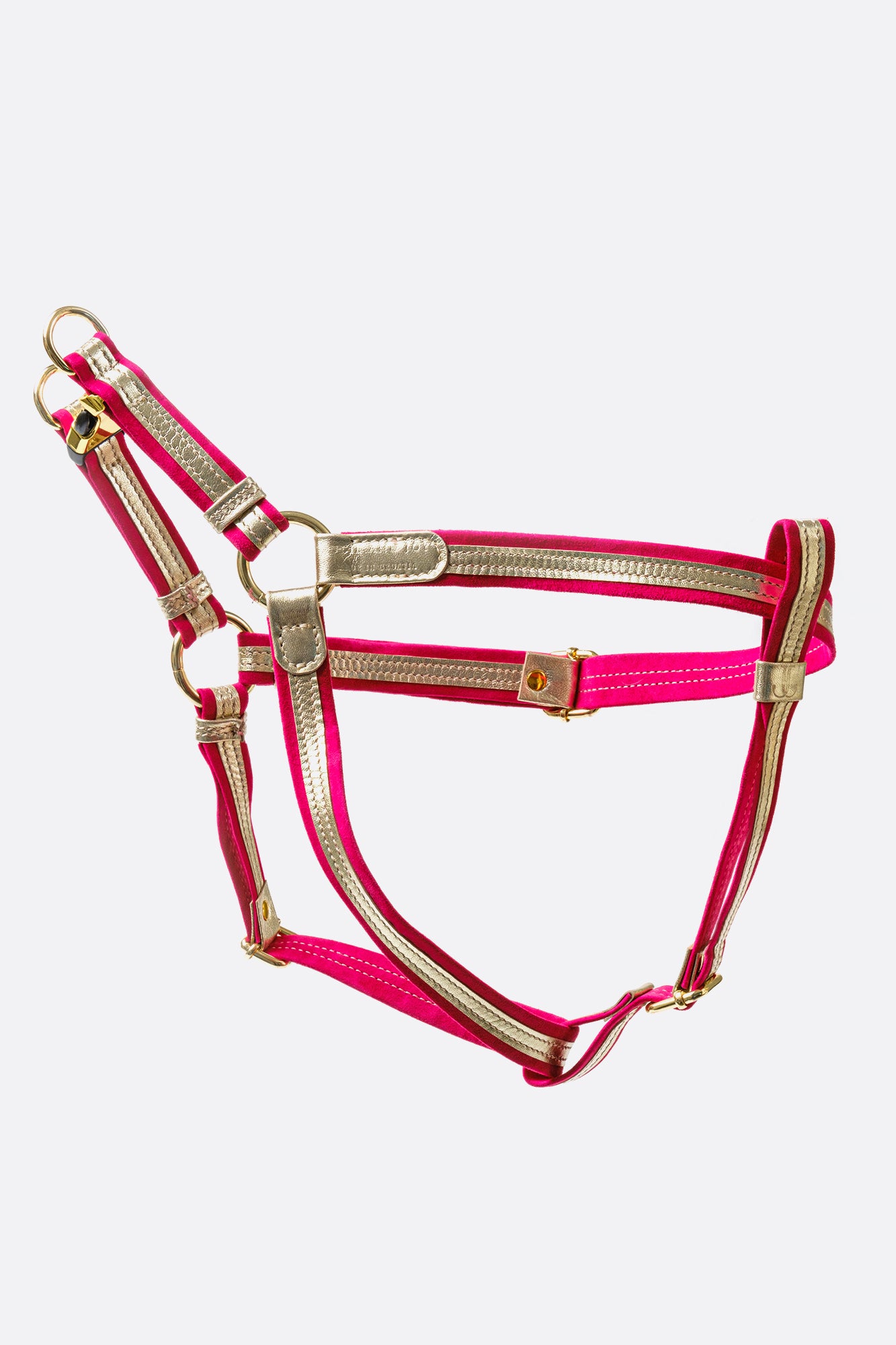 Dog Set Harness + Leash Fuchsia Italian Suede and GOLD LEATHER HARNESS For Dogs Suede Leash