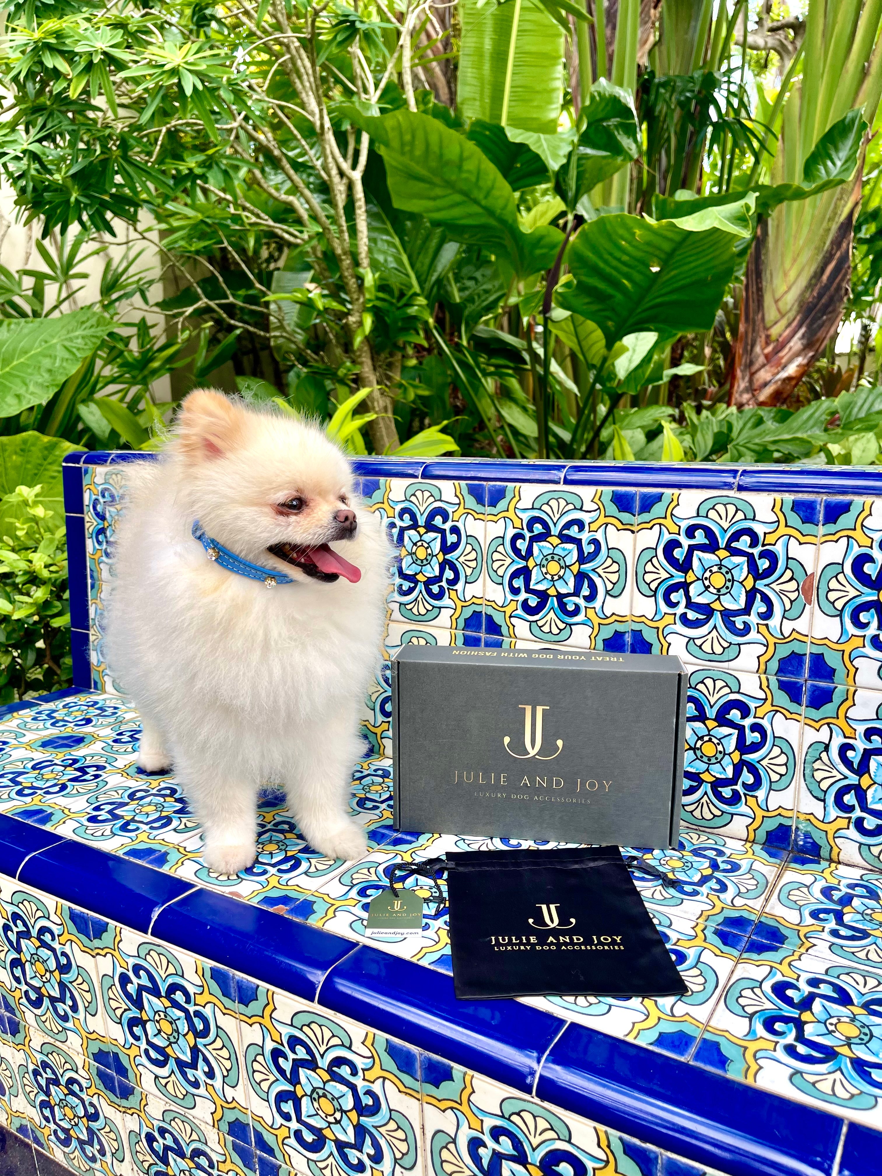 Dog Collar ITALIAN Electric Blue Leather Perfect Gift For Dog Owners –Luxury Genuine Leather And Hearts crystals Gold Finish Hardware Collar