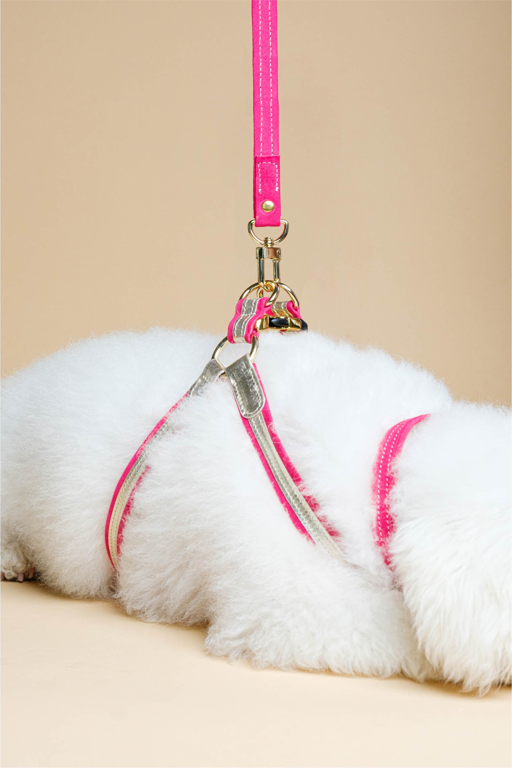 Dog Set Harness + Leash Fuchsia Italian Suede and GOLD LEATHER HARNESS For Dogs Suede Leash