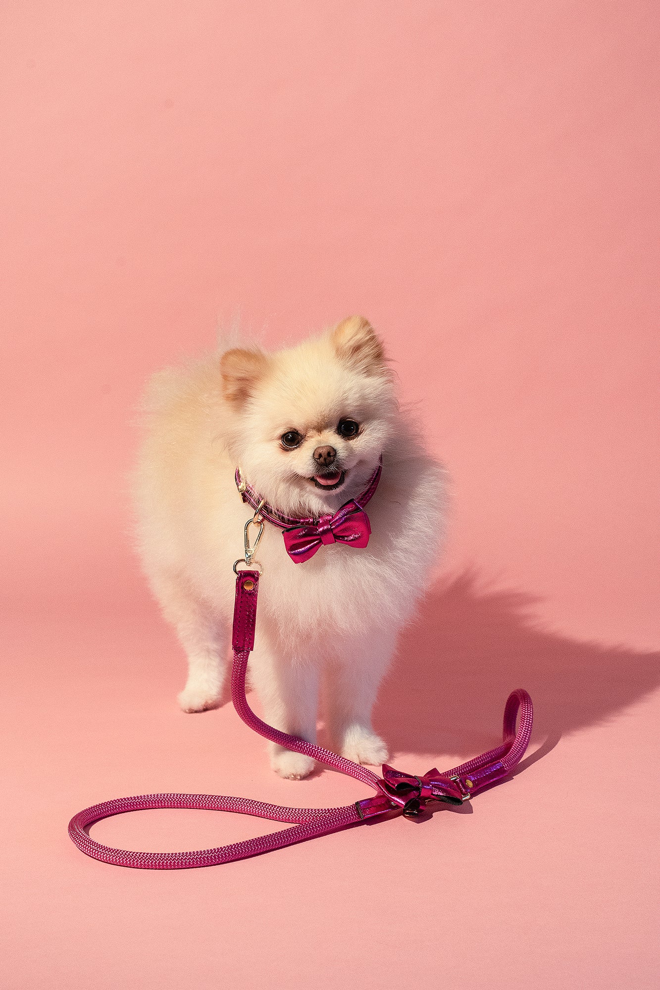 Pink Rope LEASH For Dogs with ITALIAN Genuine Leather Bow Handcrafted Gold Hardware