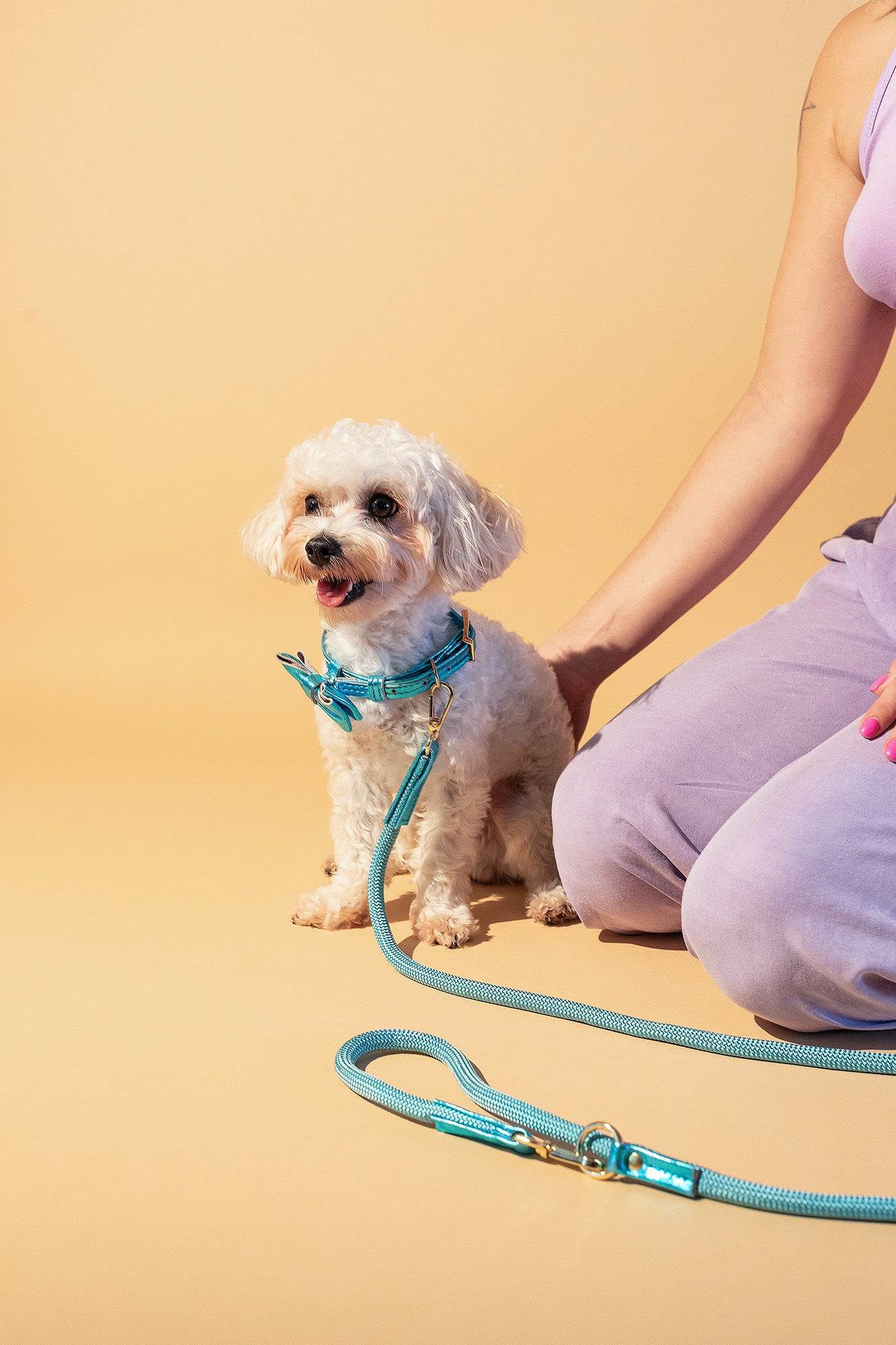 ROPE LEASH For Dogs Blue ITALIAN Genuine Leather Handcrafted