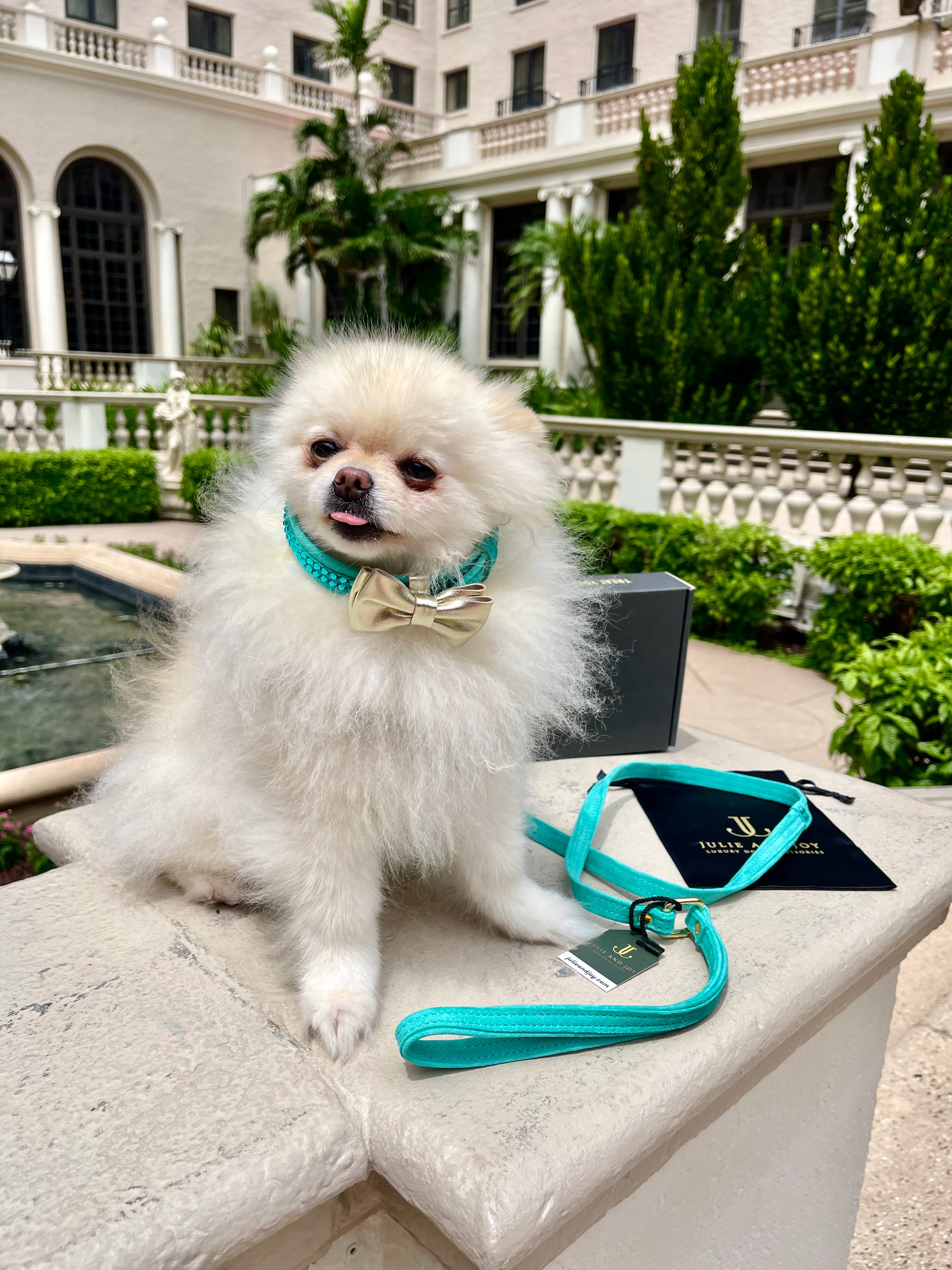 Dog Set Collar + Leash Blue ITALIAN Suede Dog Collar with Austrian crystals “Preciosa” and a bow