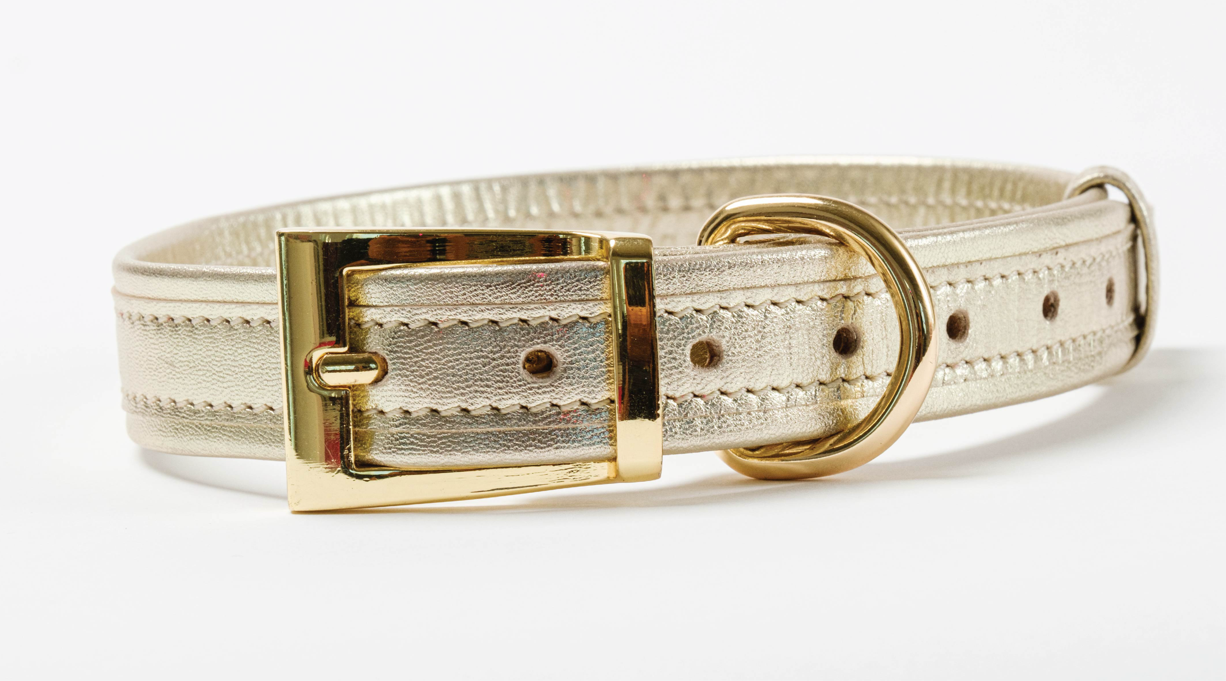 ITALIAN Genuine LEATHER DOG COLLAR Gold Finish Hardware