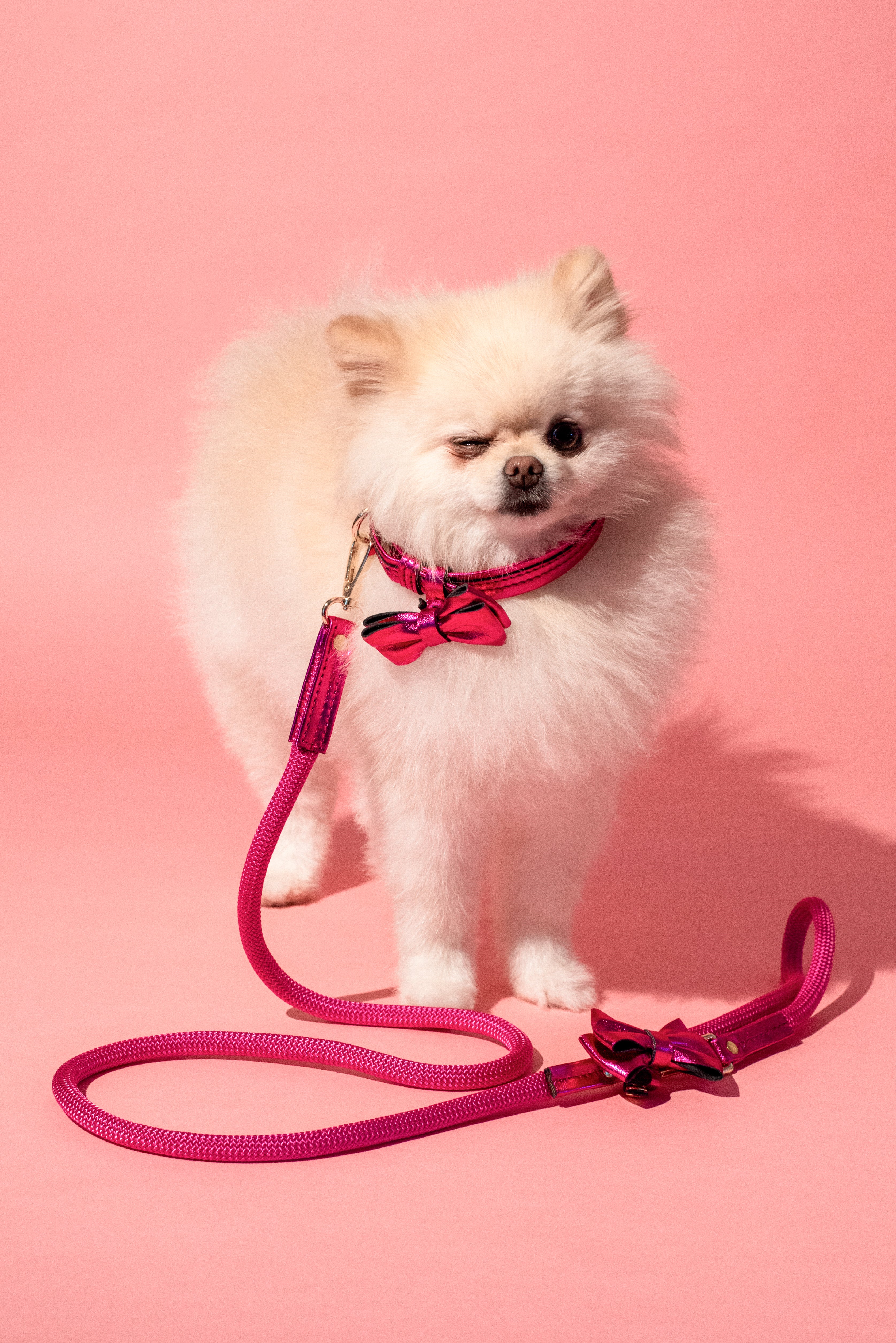 Pink Rope LEASH For Dogs with ITALIAN Genuine Leather Bow Handcrafted Gold Hardware