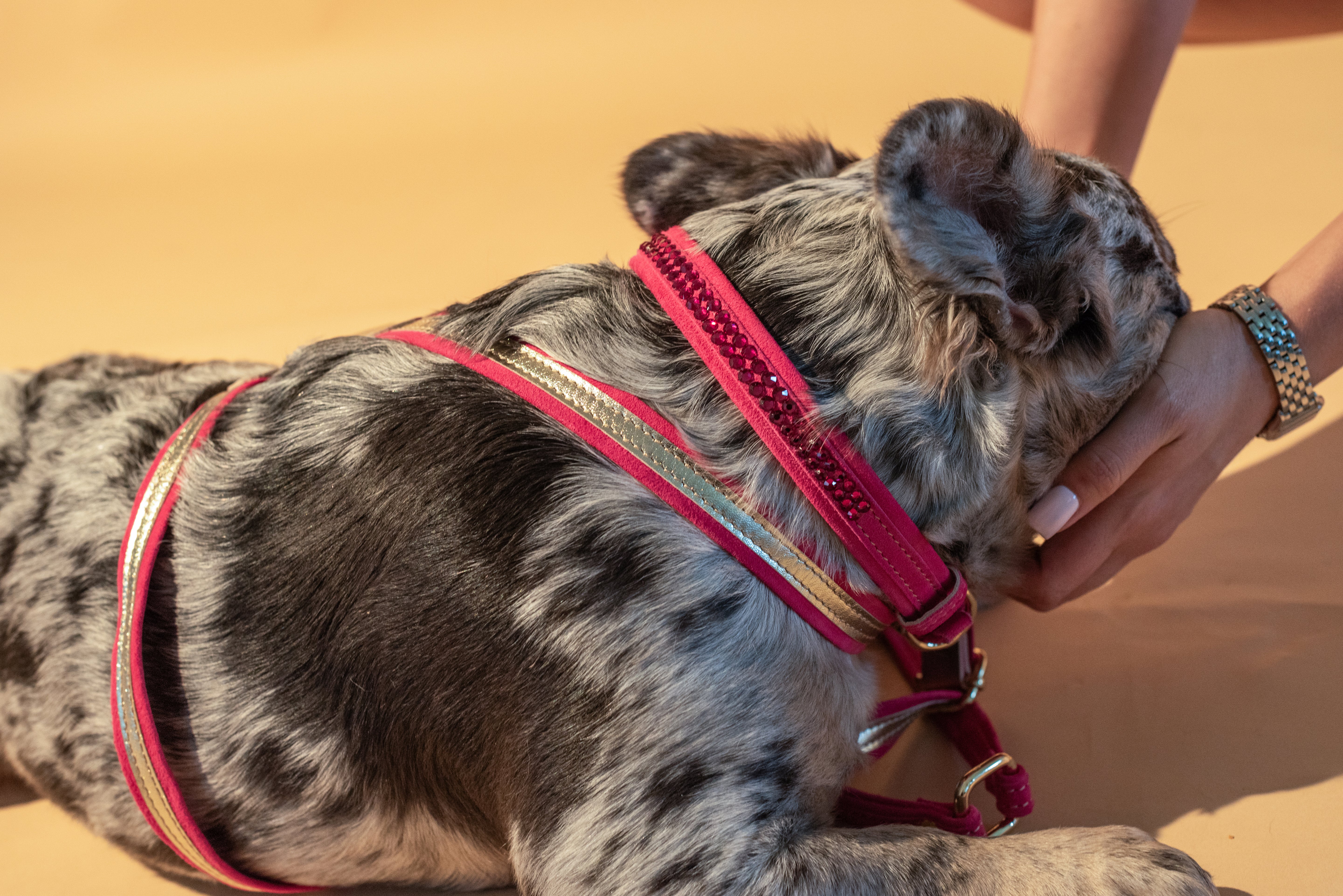 Pink Suede CRYSTAL DOG COLLAR with Finish Hardware