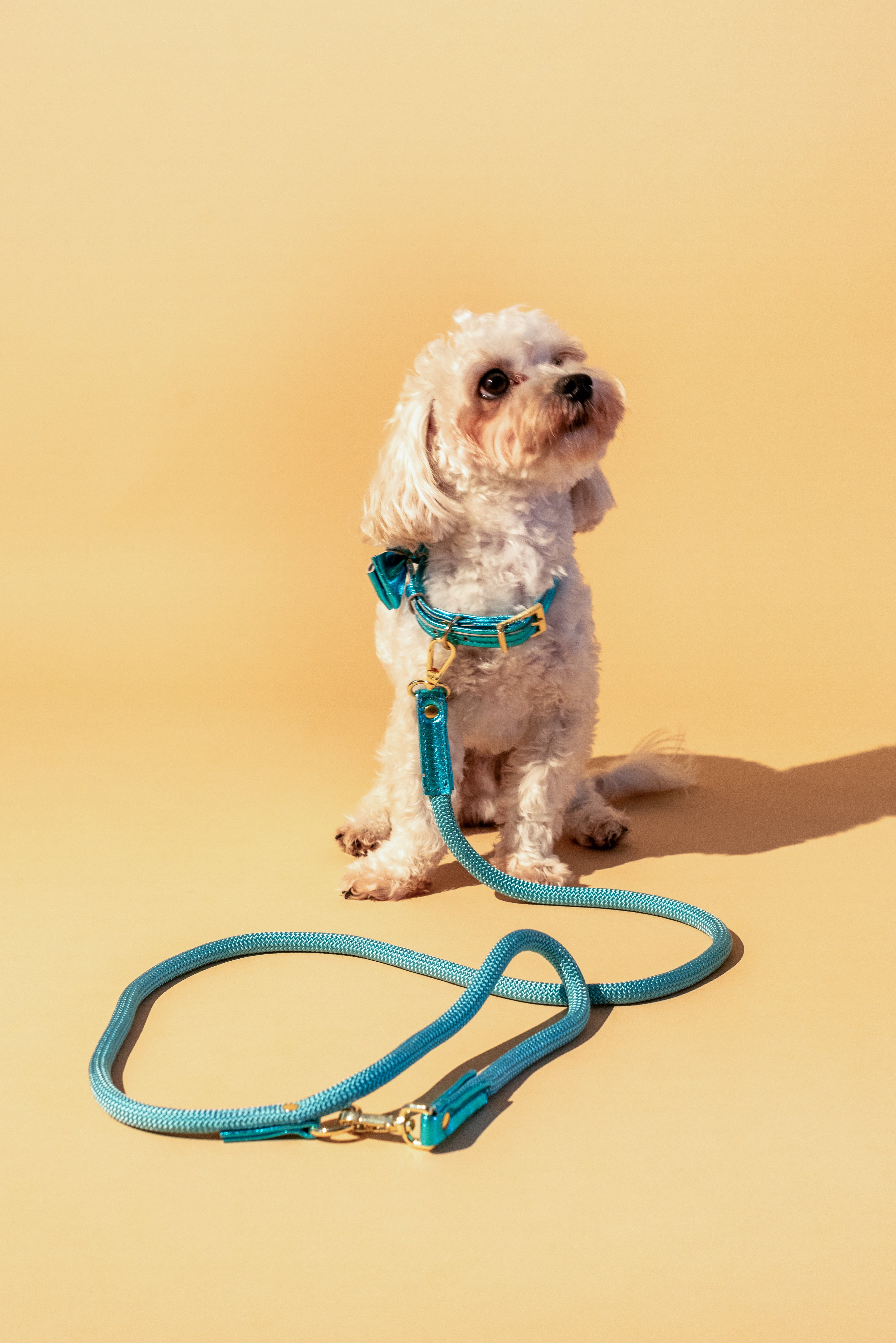 ROPE LEASH For Dogs Blue ITALIAN Genuine Leather Handcrafted