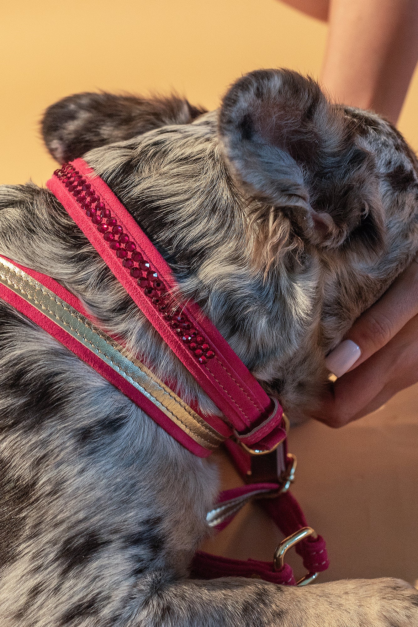 Dog Set Collar + Leash Pink ITALIAN Suede DOG COLLAR with Austrian crystals “Preciosa” with gold Finish Hardware