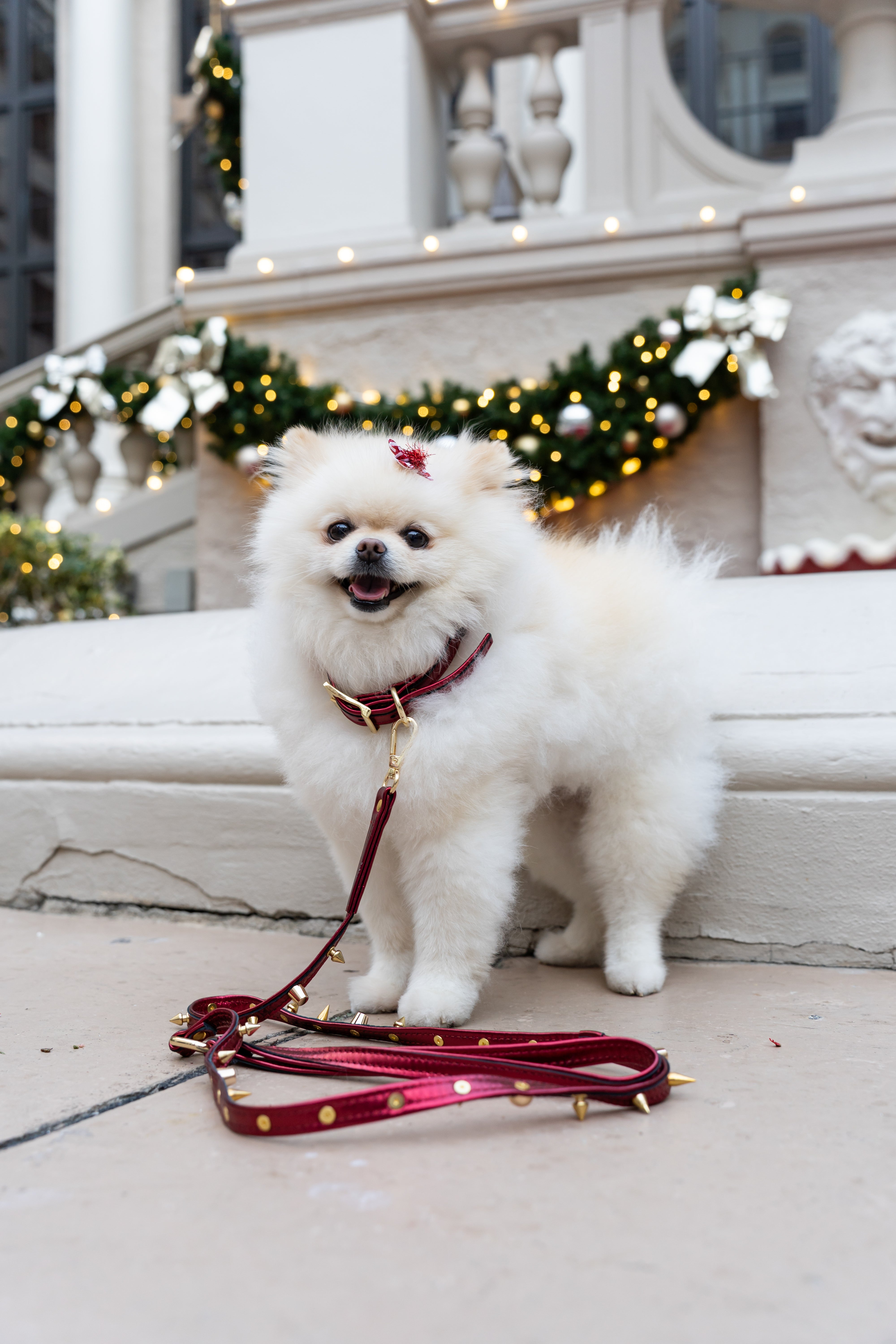 ITALIAN Genuine Red LEATHER LEASH For Dogs Spiked Handcrafted  Gold Hardware