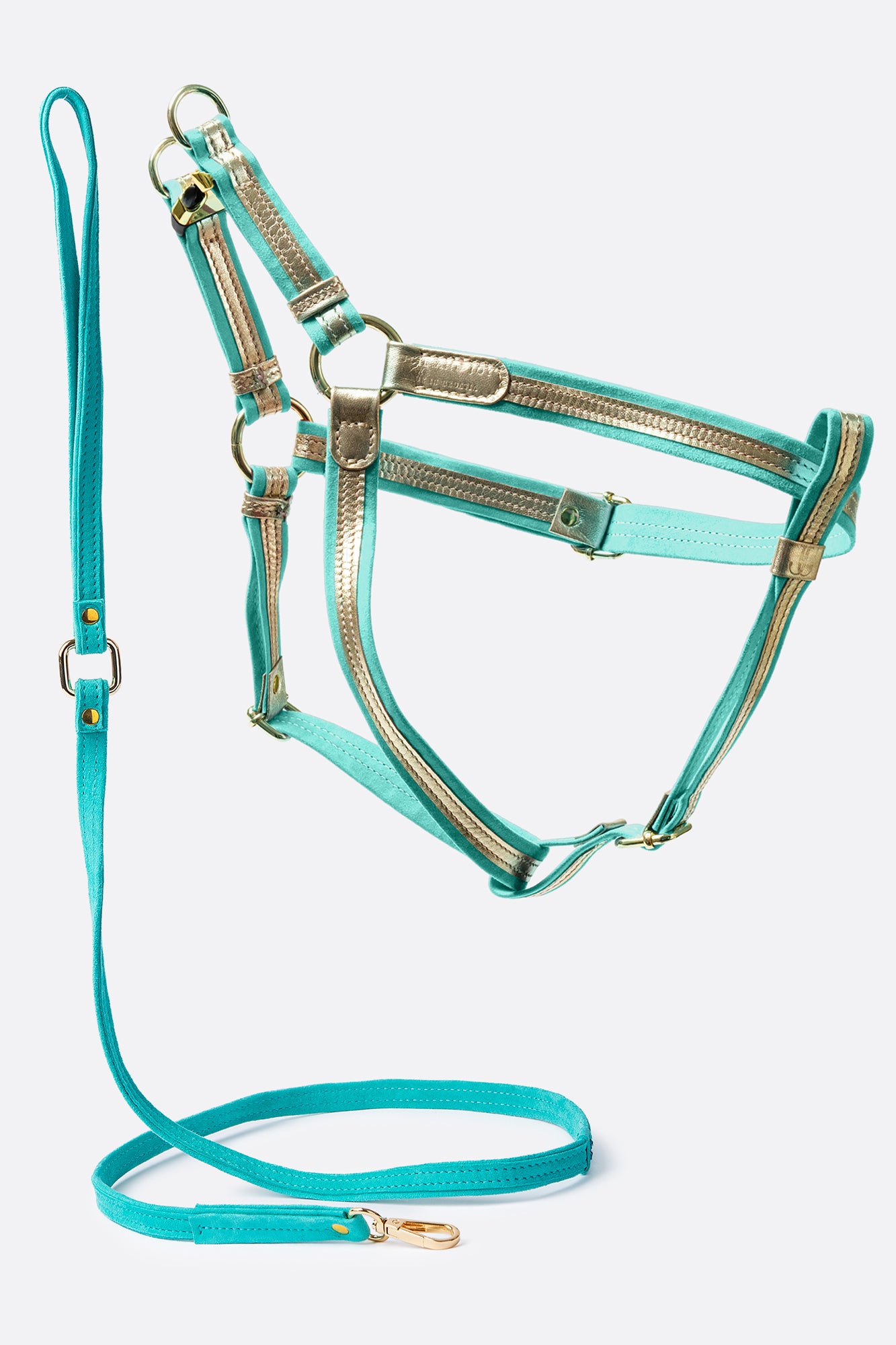 Dog Set Harness + Leash Harness Italian gold leather + turquoise suede + Italian Suede Leash