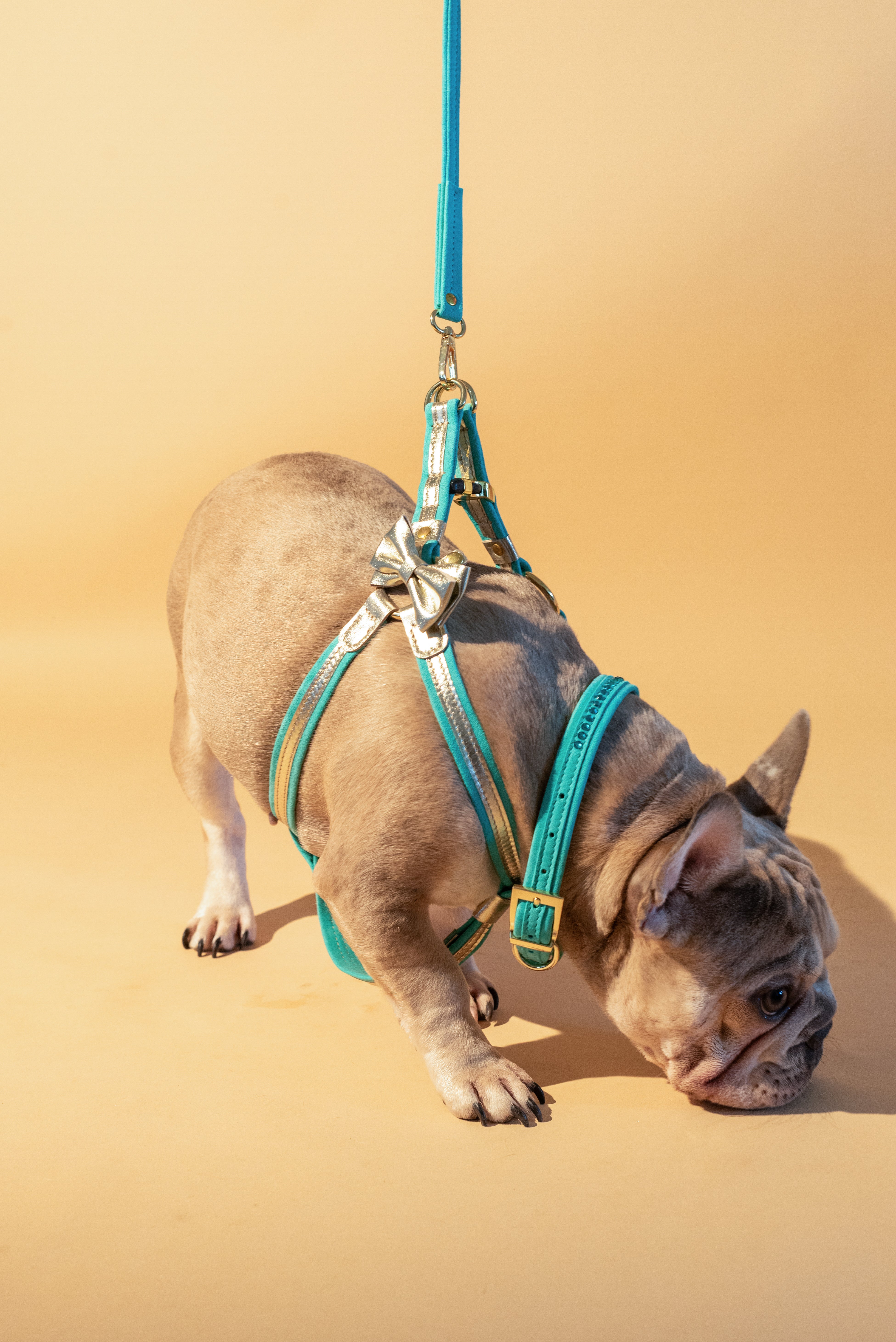 Blue ITALIAN Suede Dog Collar with crystals