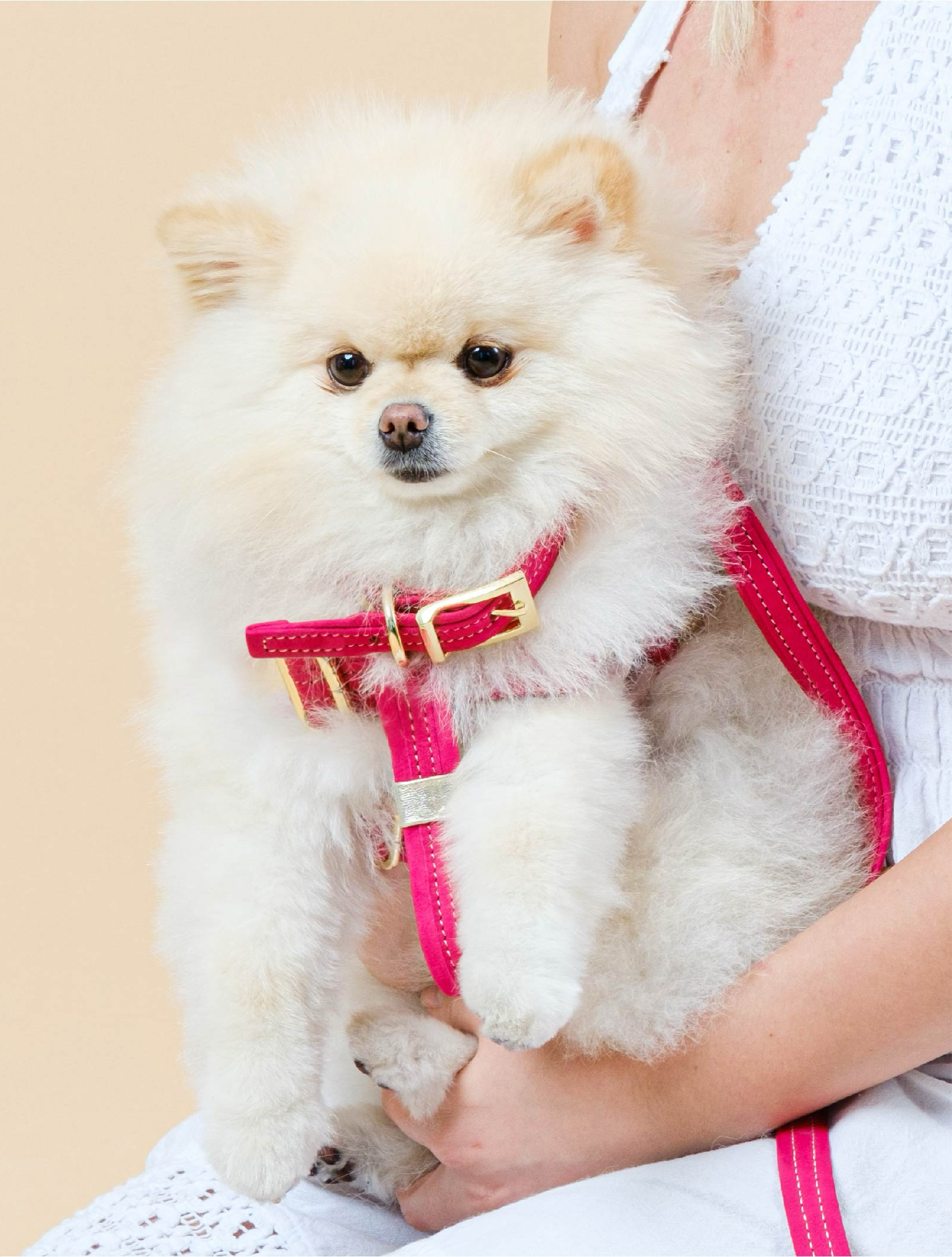 Pink Suede DOG COLLAR with Finish Hardware