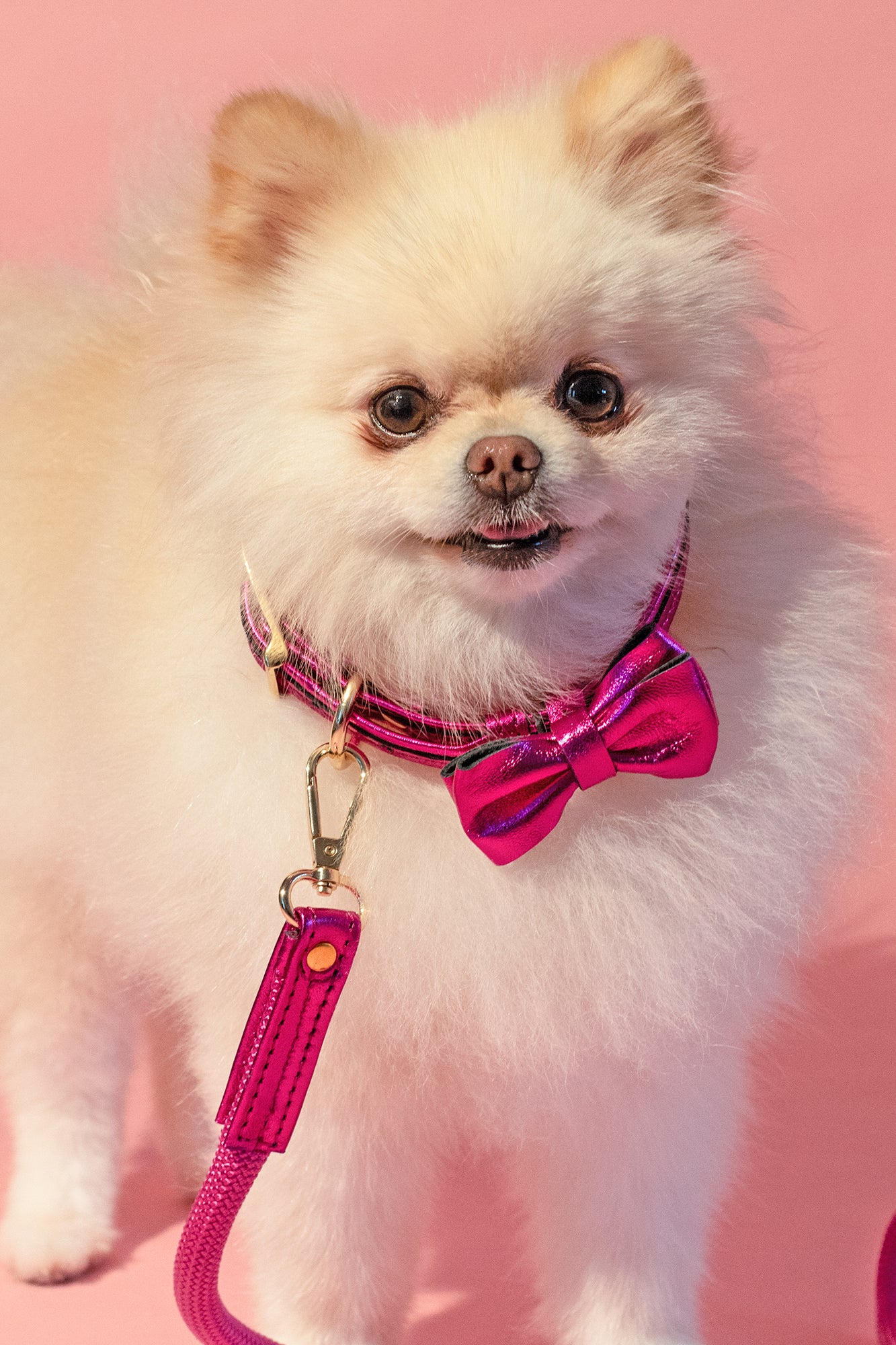 Dog Collar with a Bow ITALIAN Pink Leather HANDCRAFTED Gold finish Hardware