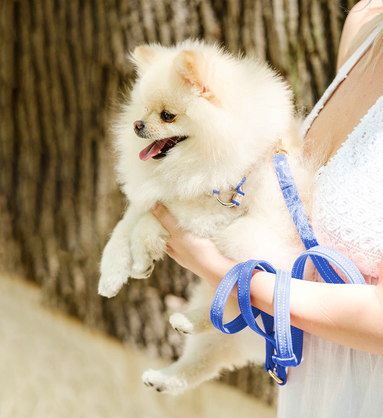 Leash Blue Suede