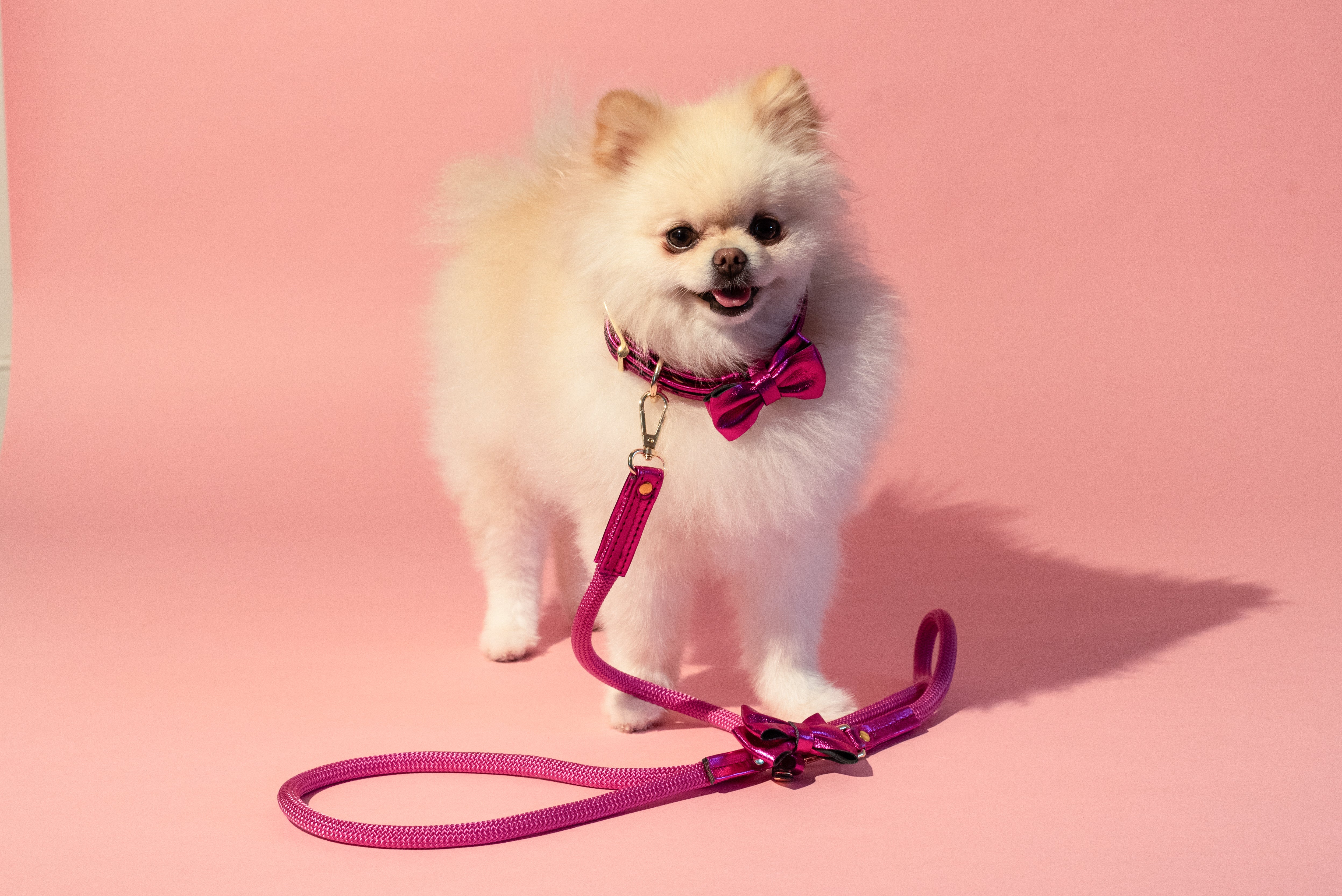 Dog Collar with a Bow ITALIAN Pink Leather HANDCRAFTED Gold finish Hardware