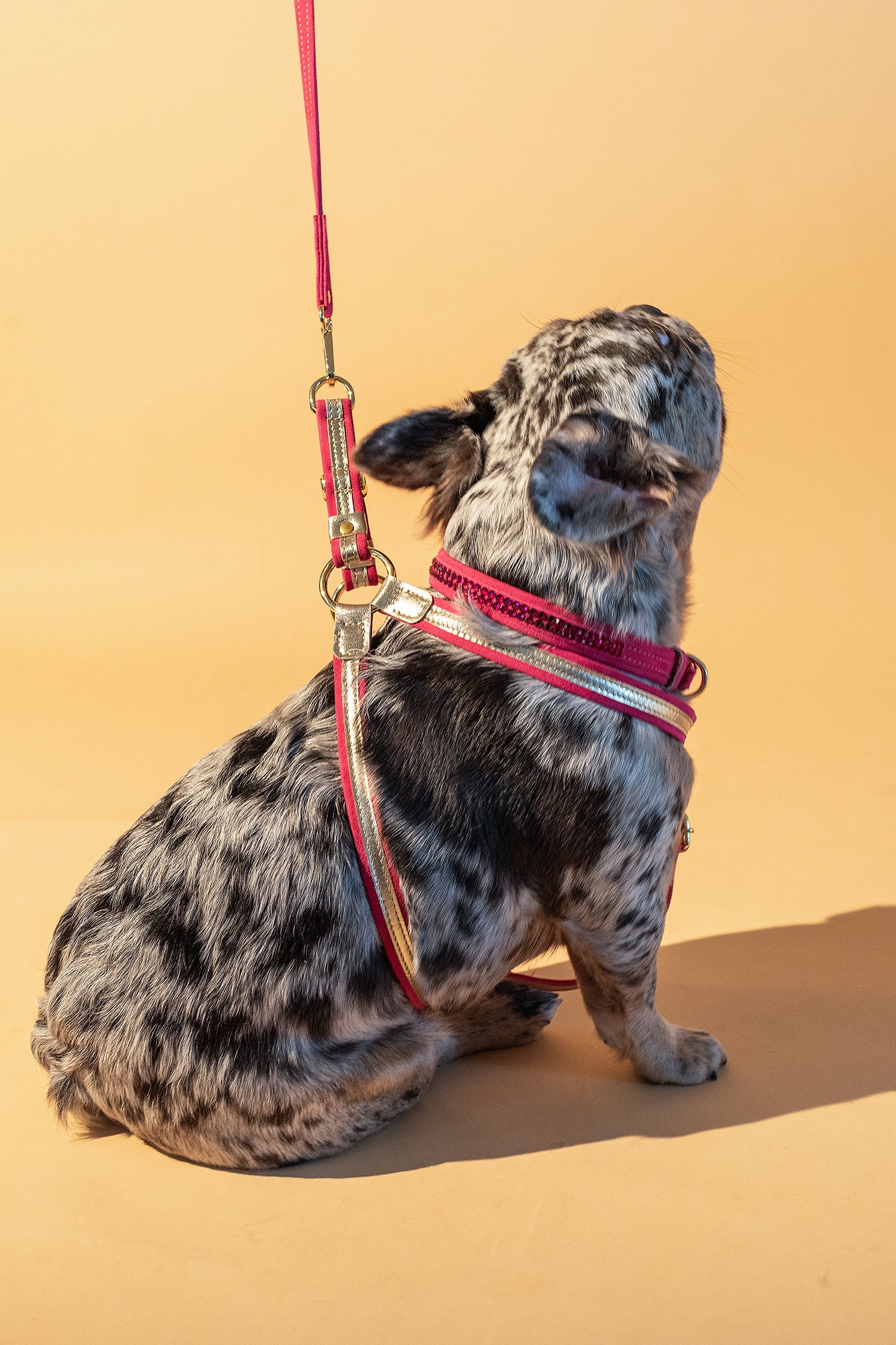 Dog Set Collar + Leash Pink ITALIAN Suede DOG COLLAR with Austrian crystals “Preciosa” with gold Finish Hardware