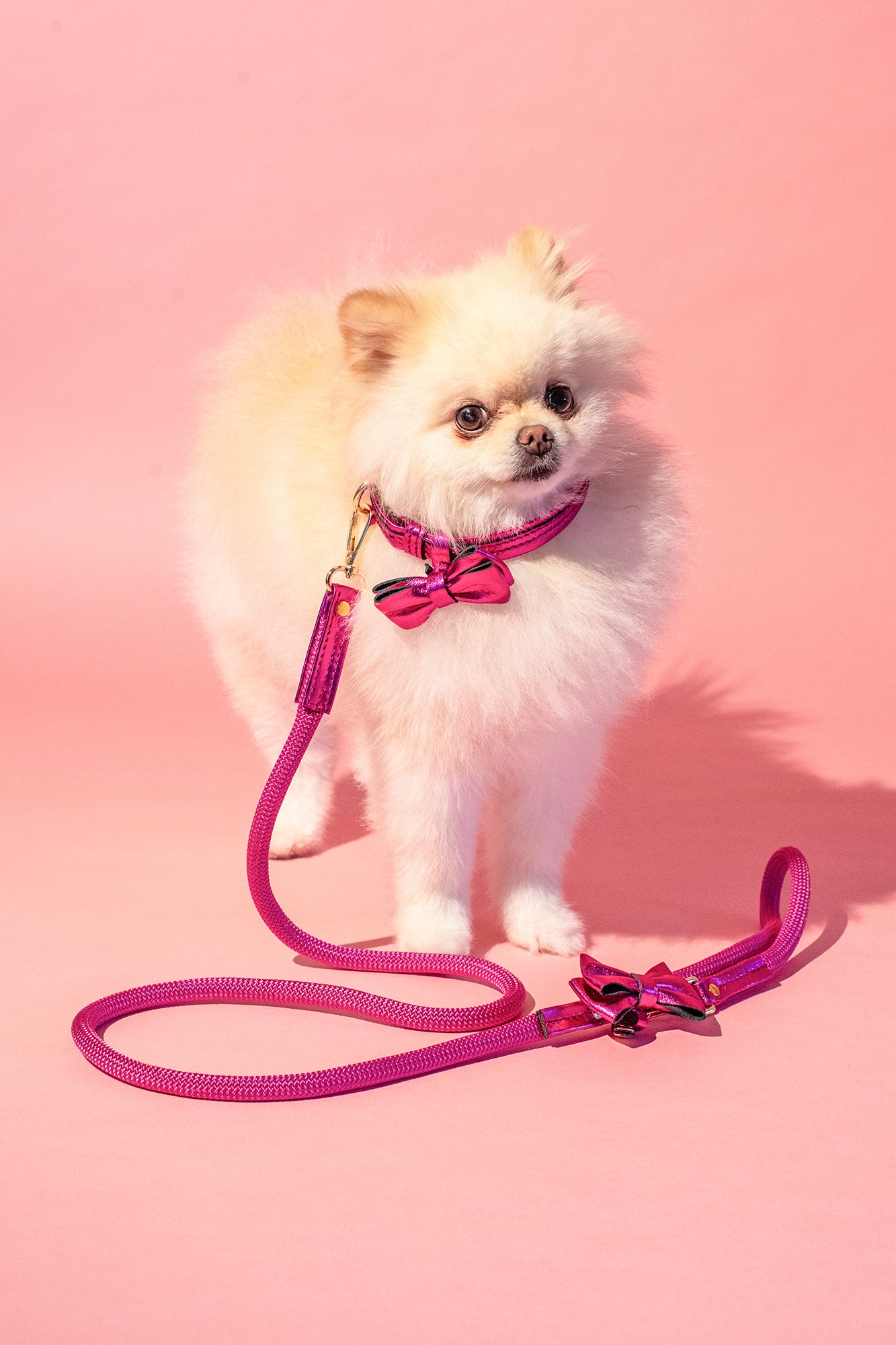 Dog Collar with a Bow ITALIAN Pink Leather HANDCRAFTED Gold finish Hardware