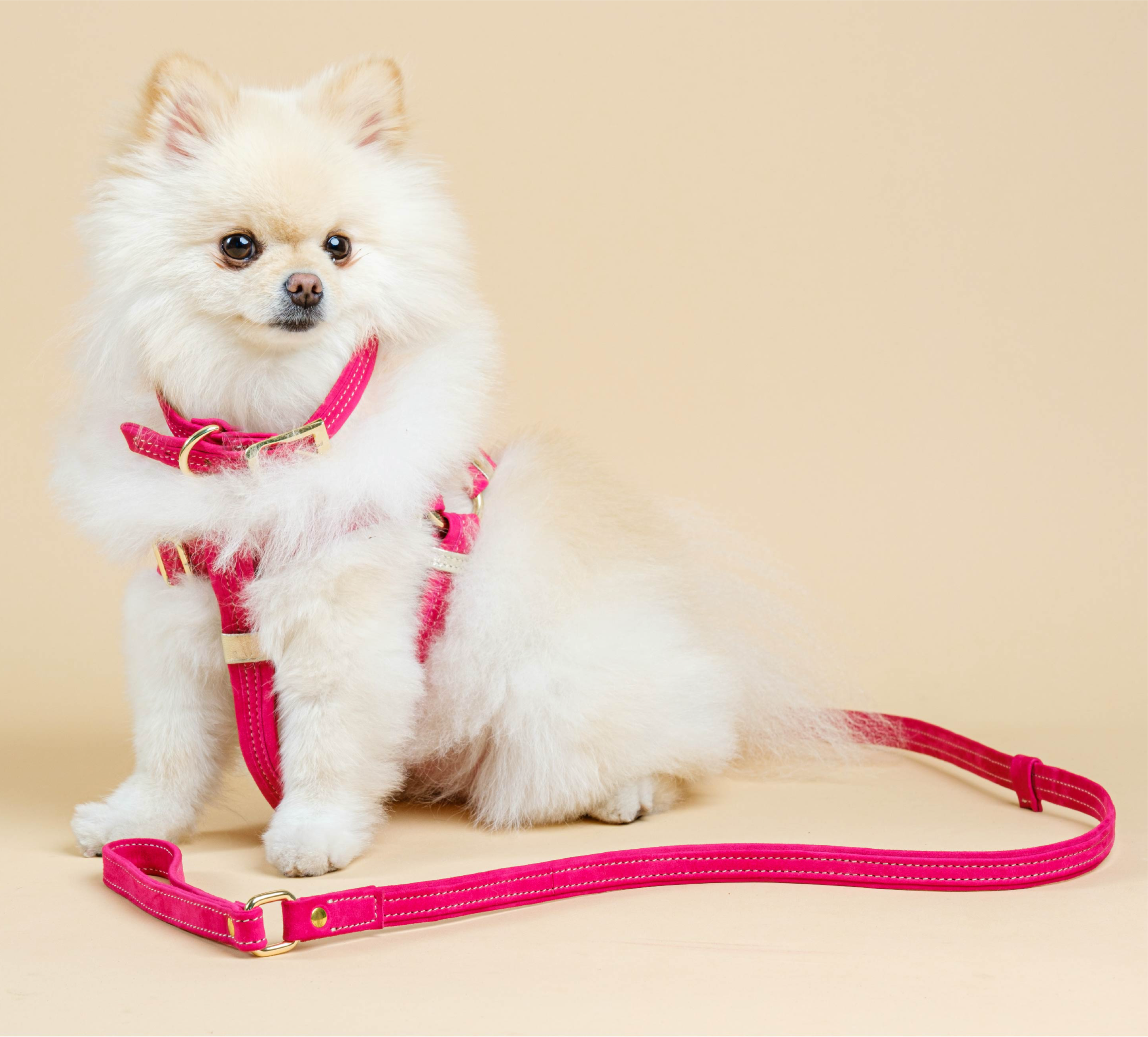 Pink Suede DOG COLLAR with Finish Hardware