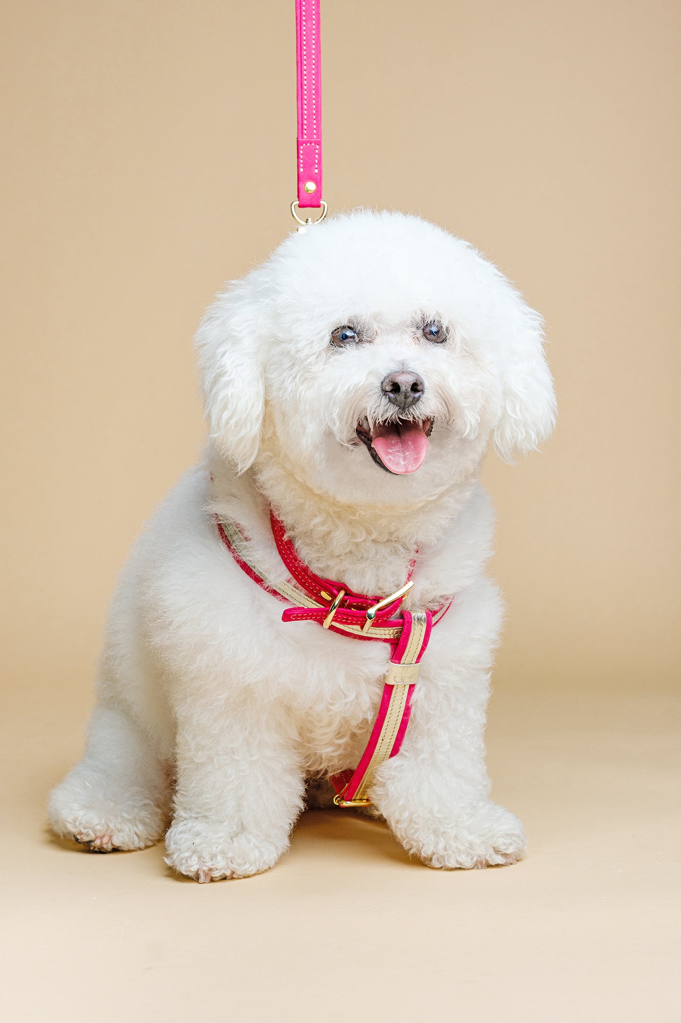 Pink ITALIAN Suede DOG COLLAR with Finish Hardware