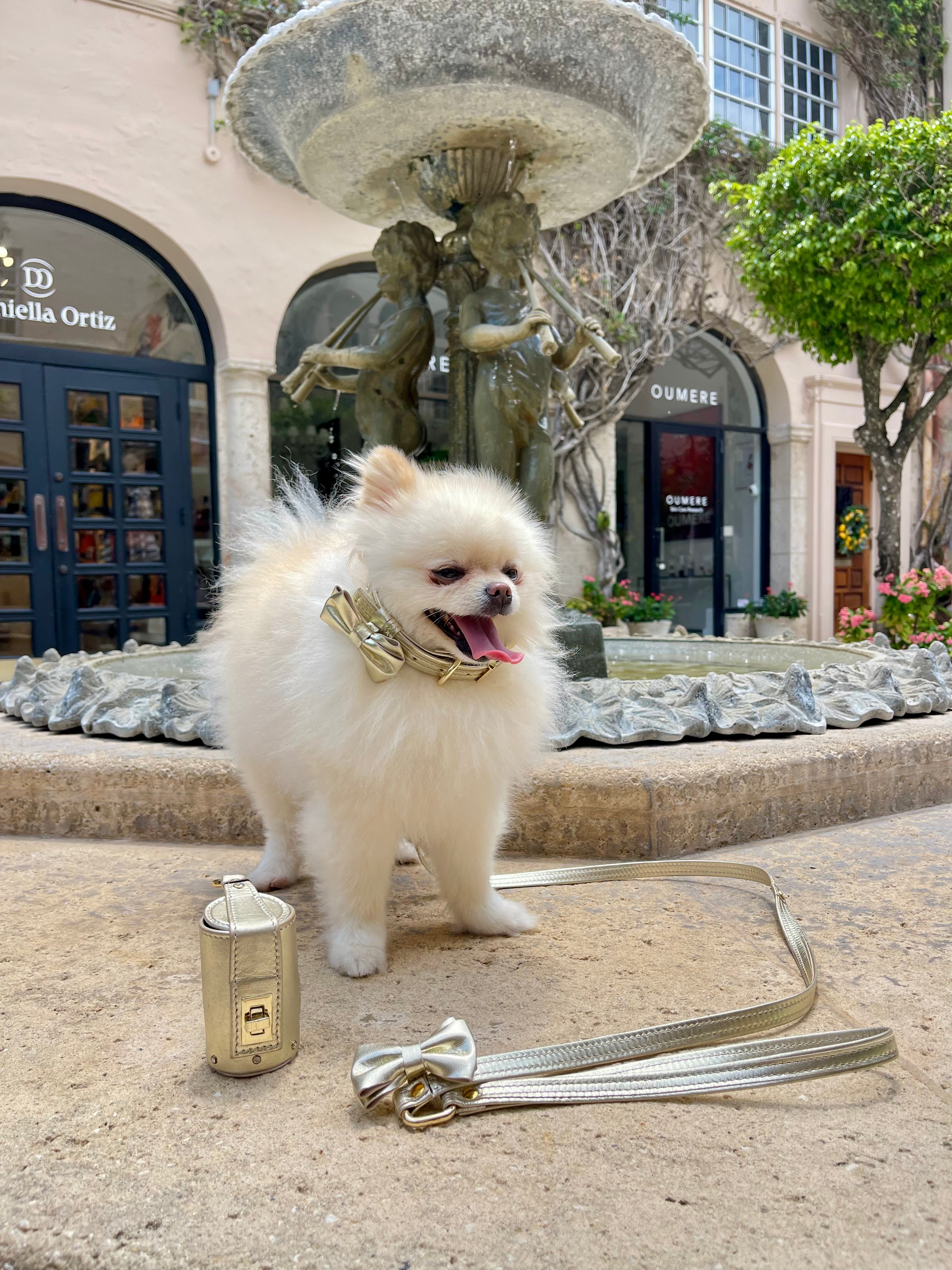 Dog Set Collar + Leash Dog Collar with a Bow ITALIAN Gold Leather HANDCRAFTED with crystals rivets Gold finish Hardware