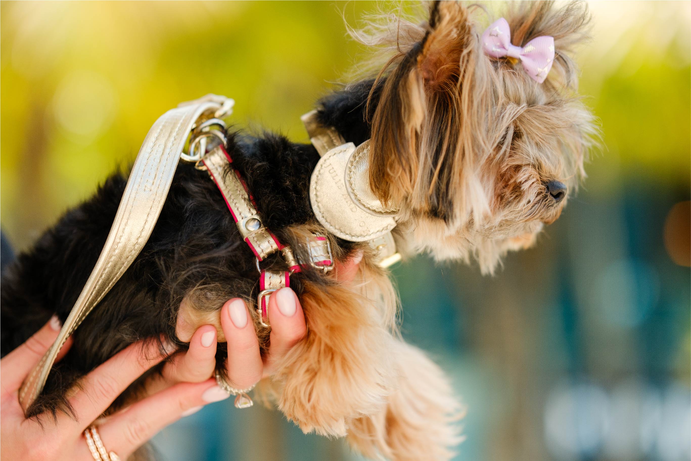 Digital GPS TRACKER HOLDER Leather Collar For Dogs