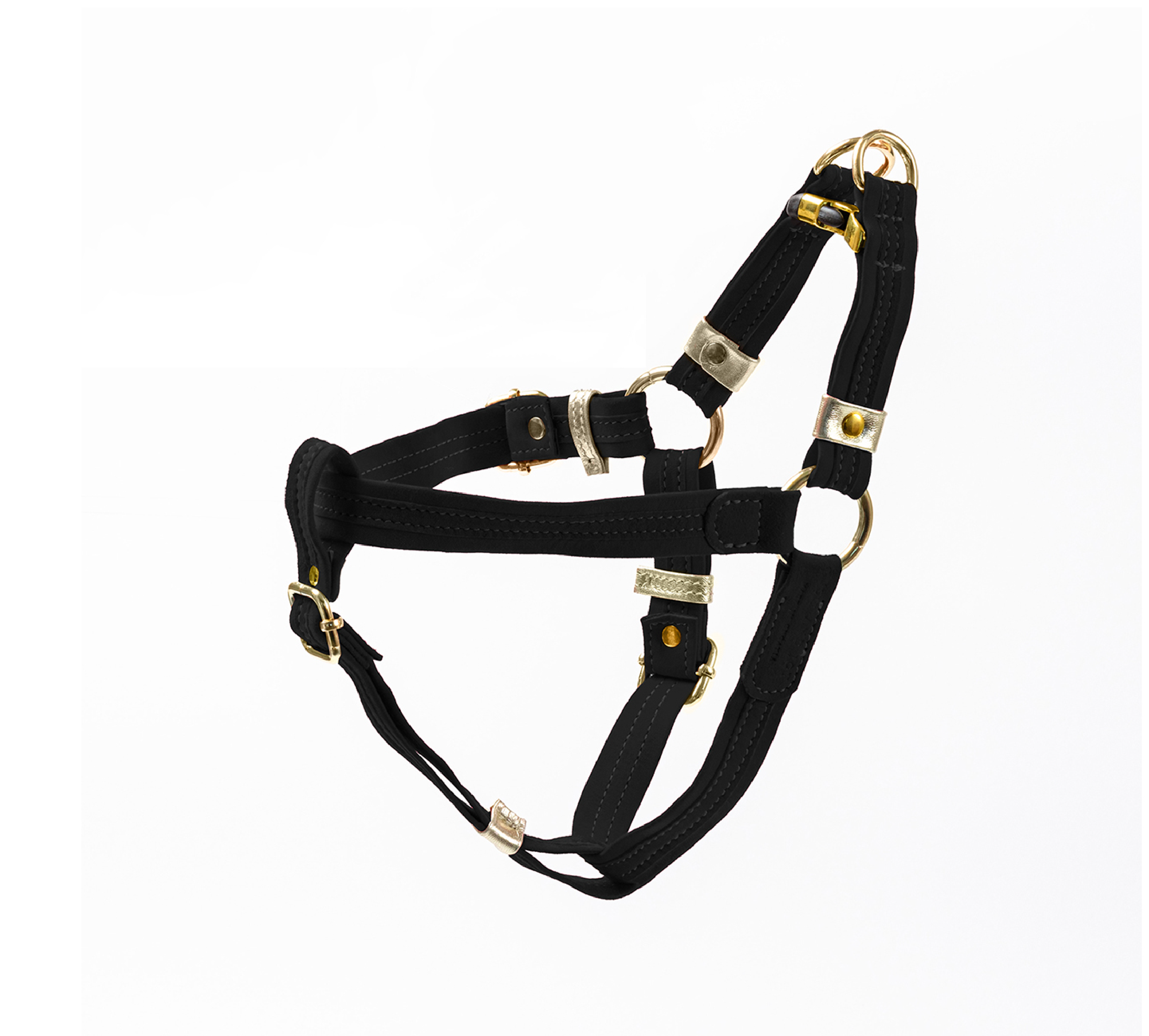 Black Suede Harness