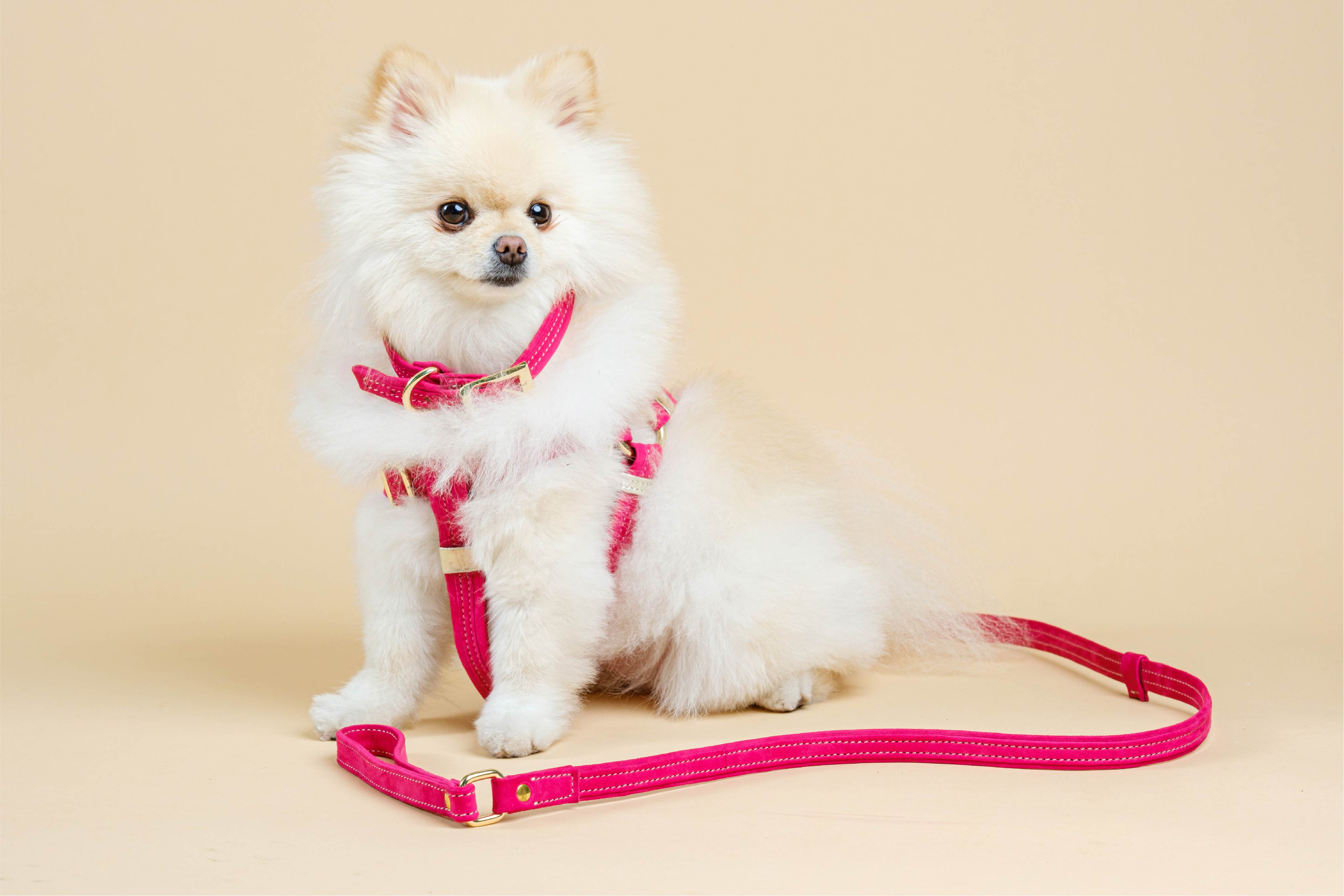 Pink Suede CRYSTAL DOG COLLAR with Finish Hardware