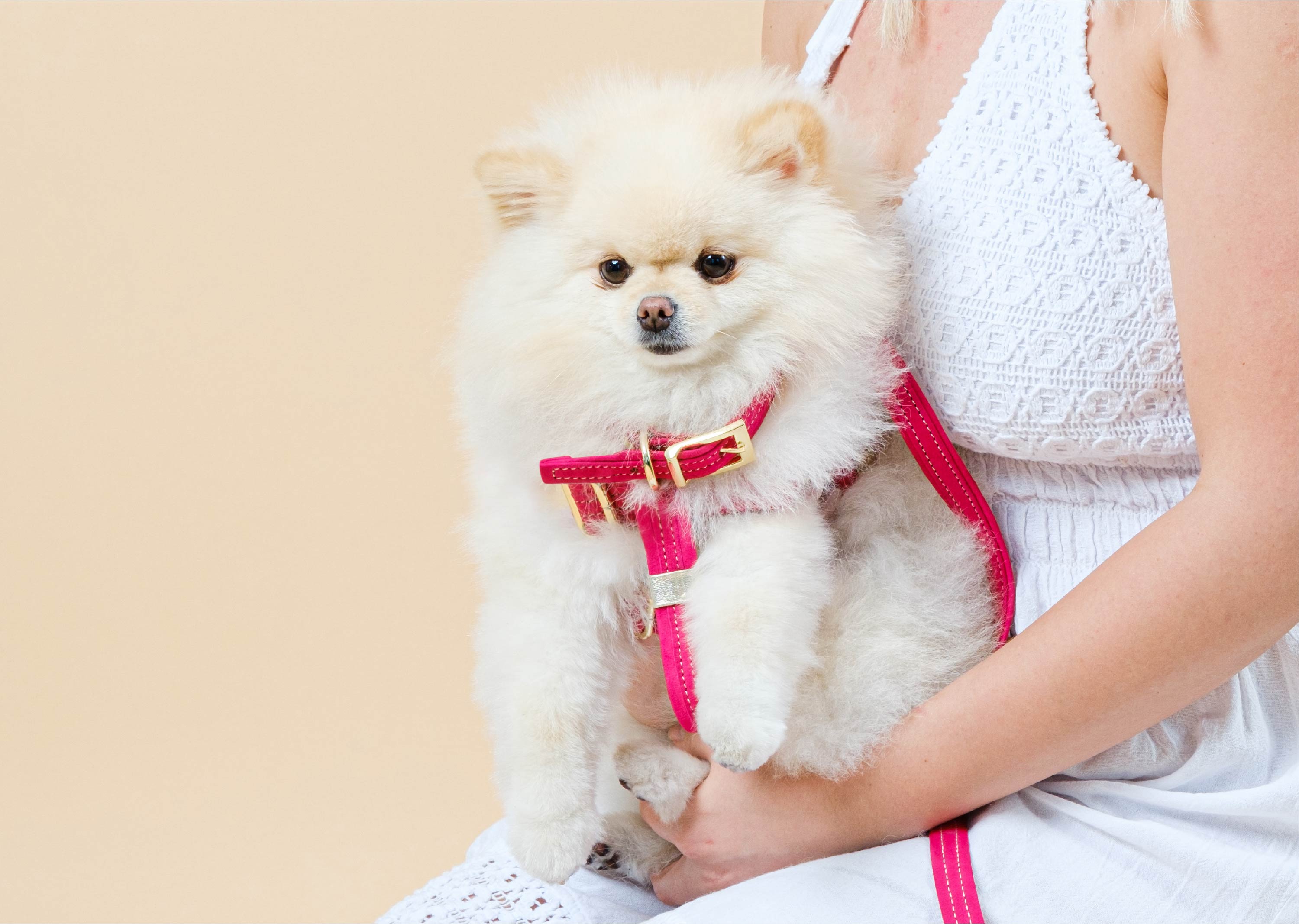 Pink Suede CRYSTAL DOG COLLAR with Finish Hardware