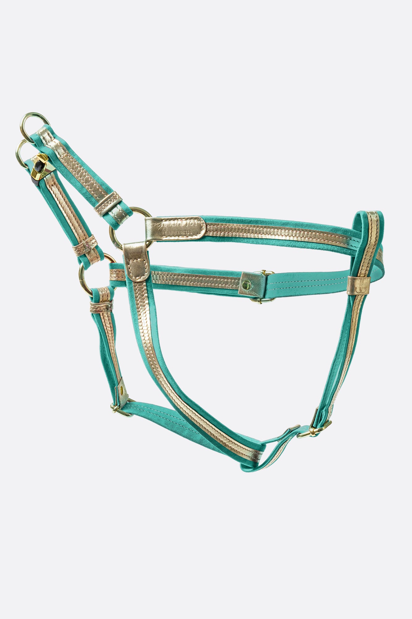 Harness gold leather + blue suede